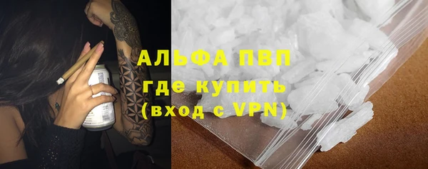 стафф Алзамай