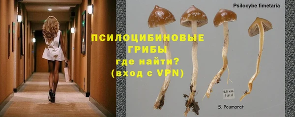 каннабис Алексин