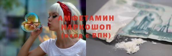 стафф Алзамай